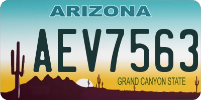 AZ license plate AEV7563