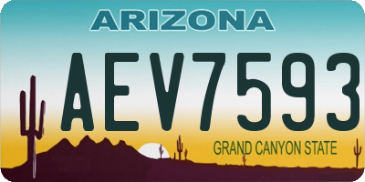 AZ license plate AEV7593