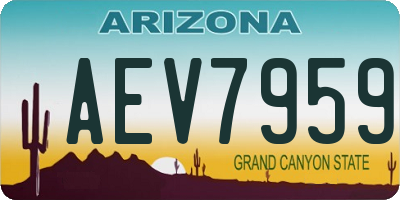 AZ license plate AEV7959