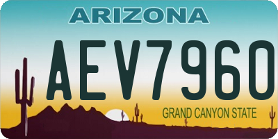 AZ license plate AEV7960