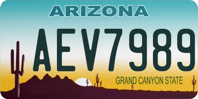 AZ license plate AEV7989