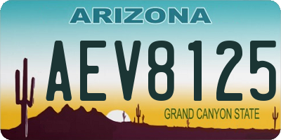 AZ license plate AEV8125