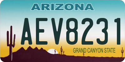 AZ license plate AEV8231