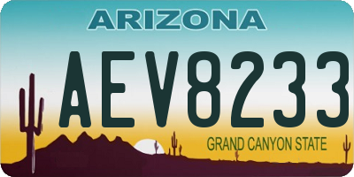 AZ license plate AEV8233