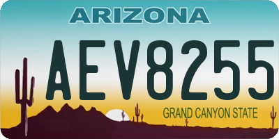 AZ license plate AEV8255