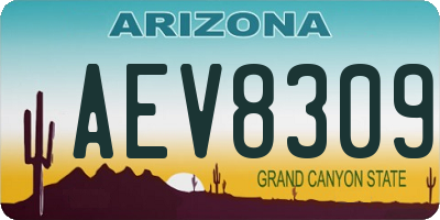 AZ license plate AEV8309