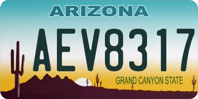 AZ license plate AEV8317