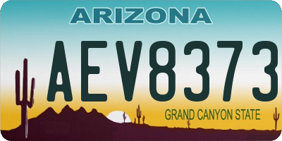AZ license plate AEV8373