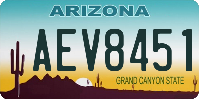 AZ license plate AEV8451