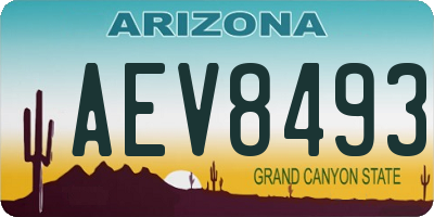 AZ license plate AEV8493