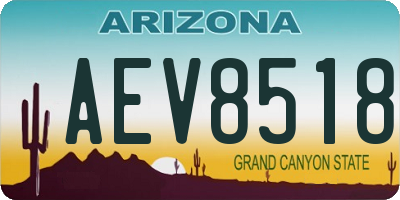 AZ license plate AEV8518