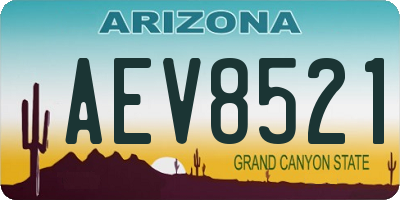 AZ license plate AEV8521