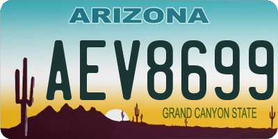 AZ license plate AEV8699