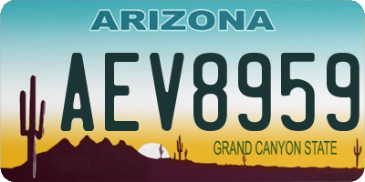 AZ license plate AEV8959