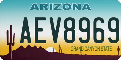 AZ license plate AEV8969