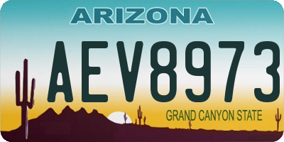 AZ license plate AEV8973