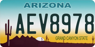 AZ license plate AEV8978