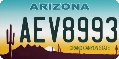 AZ license plate AEV8993