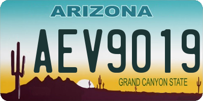 AZ license plate AEV9019