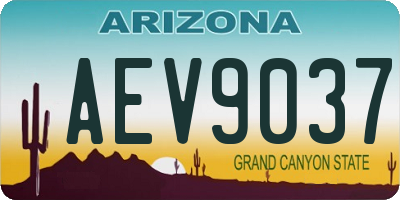 AZ license plate AEV9037