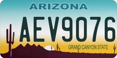 AZ license plate AEV9076