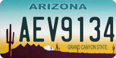 AZ license plate AEV9134