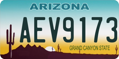 AZ license plate AEV9173