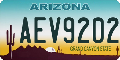 AZ license plate AEV9202