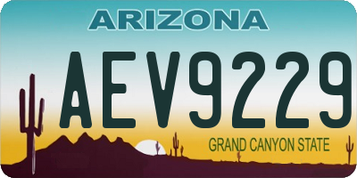 AZ license plate AEV9229