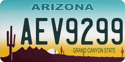 AZ license plate AEV9299