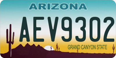 AZ license plate AEV9302