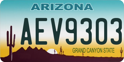 AZ license plate AEV9303