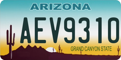AZ license plate AEV9310
