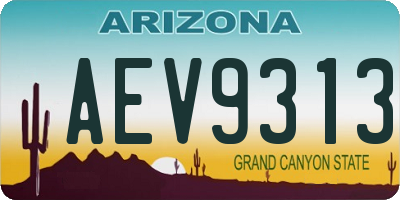 AZ license plate AEV9313