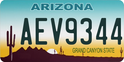 AZ license plate AEV9344