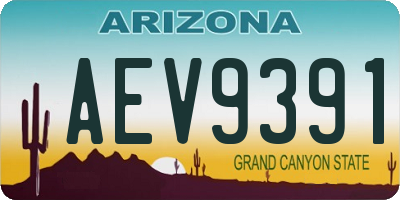 AZ license plate AEV9391