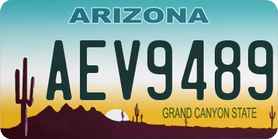 AZ license plate AEV9489