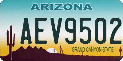 AZ license plate AEV9502