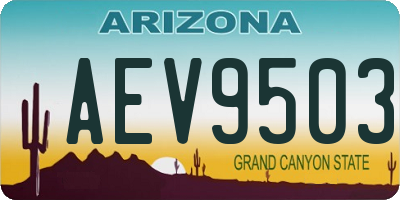 AZ license plate AEV9503