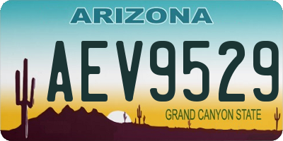 AZ license plate AEV9529