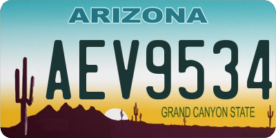 AZ license plate AEV9534
