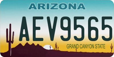 AZ license plate AEV9565