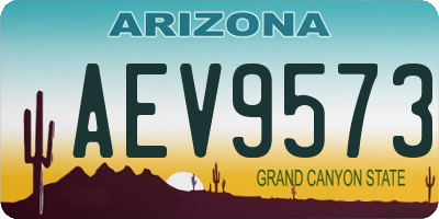 AZ license plate AEV9573