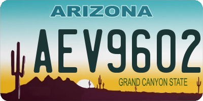 AZ license plate AEV9602