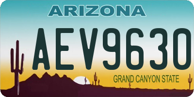 AZ license plate AEV9630