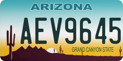 AZ license plate AEV9645