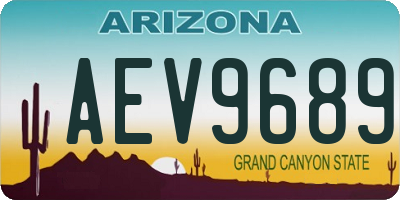 AZ license plate AEV9689