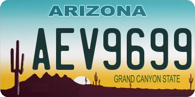 AZ license plate AEV9699