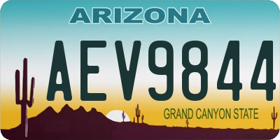 AZ license plate AEV9844