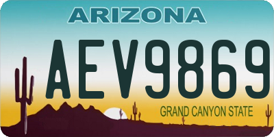 AZ license plate AEV9869